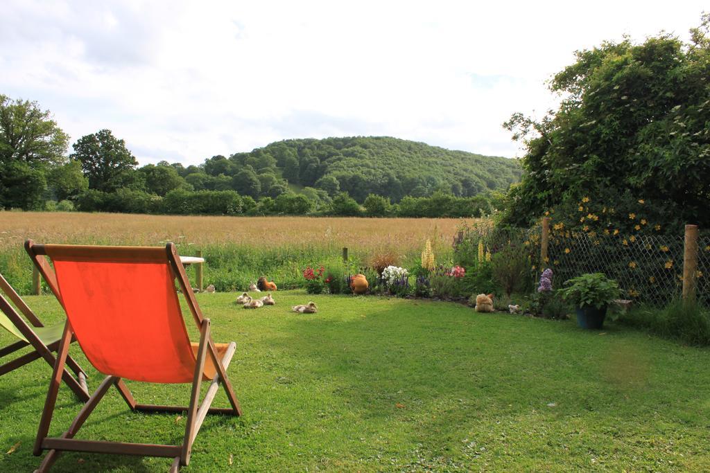 Pandy B&B Dorstone Bagian luar foto
